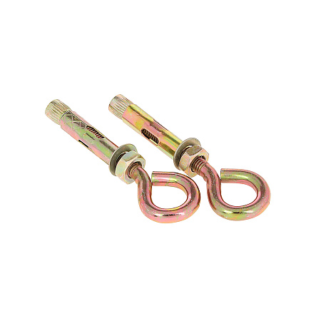 Анкерный болт 10х60 с кольцом М8 (2шт) пакет  BROZEX  *10/100