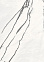 Керамогранит Bonn белый 600*600*10 (0,36*4=1,44*32=46,08) Axima ВКЗ *1,44 / 46,08