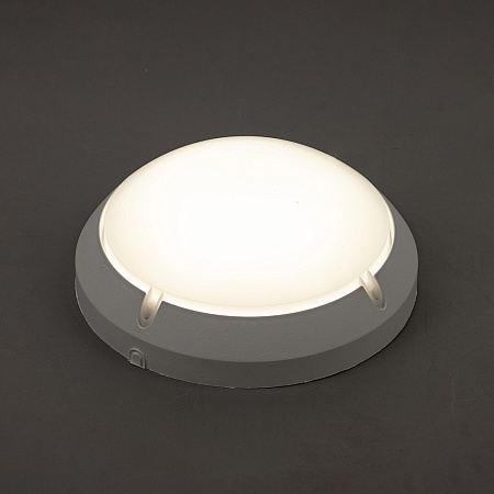 Светильник накладной светодиодный 12Вт 4.0K 900Лм IP65 круг белый LED OBL-R1 ОНЛАЙТ 71686 *1/24