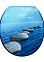Сиденье для унитаза Delphinium SYM-616 Морские камни, синий 105060 *1/12