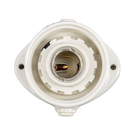 Светильник НПБ400  IP54 60Вт бел., настенно-потолочный, для сауны бани TDM SQ0303-0048 *1/16