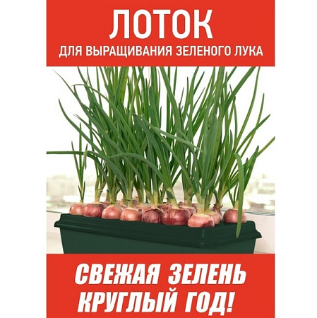 Лоток д/выращивания лука пластм. 305х160х85мм М6716 (ЗПИ "Альтернатива") *1/20