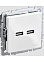 Механизм розетки "BRITE" 2-мест. USB A+A 5В/3.1А белый IEK BR-U21-D31-K01   *1/8/80