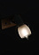 Светильник настенный (спот) N5105/1 WT+WOOD Е27 6*40Вт ( l=170;w=100;h=170)  VERNER LIGHTING *1