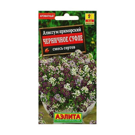 Семена Алиссум Черничное суфле смесь  0,1гр Аэлита цв *10/200