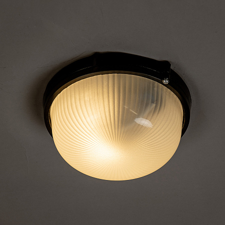 Светильник накладной 60Вт круг черный НПБ1301 TDM SQ0303-0031 *1/12