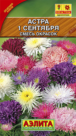 Семена Астра 1-ое сентября смесь  0,2гр Аэлита цв *10/200