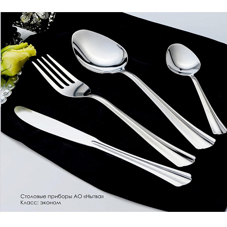 Ложка столовая нерж. "Новинка" (М27) 2983  "ДОБРОСТАЛЬ" (Нытва)  *6/120