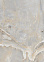 Керамогранит SPERANZA GOLD LIGHT GREY полир. 600*1200*9 PR217  *1,44/ 48,96