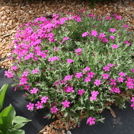 Геотекстиль нетканый Черный пл.120г/кв.м, шир.0,8м, дл.12м, в пакете "Агротекс" *1/12