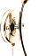 Бра K0732/1W    Тюльпан   1*60W E27  (h=280, w=140, l=140) VERNER LIGHTING *1