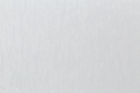 Обои флиз "HomeColor"   PROTECT-CASA фон (сер.) HC31236-14a 1,06*10м *1/8