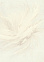 Обои  флиз ED Euro Decor Floravento (бел.) 7324-00 *6