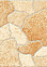Керамогранит Belani Roxy камни бежевая 293*293*8 (0.086*14=1.2*52)  GT149VGNG  *1,2 / 62,4