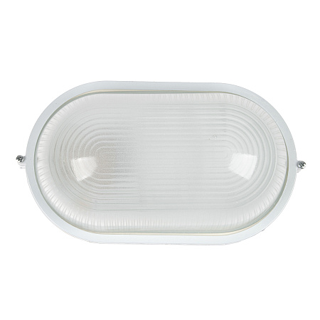 Светильник накладной 100Вт овал белый НПБ1201 TDM SQ0303-0028 *1/8