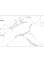 Керамогранит мат САНДЕЙ  VHF612051 600*1200*9 (0.72*2=1.44*40)  * 57,6 АКЦИЯ