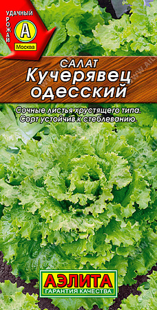 Семена Салат Кучерявец Одесский полукочанный 0,5гр Аэлита Лидер автор *10/200