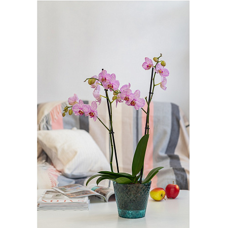 Кашпо пластм. "Manhattan Cristallo"  1,6л d верха 160мм h146мм со вставкой Изум.водаIG671110100*1/20