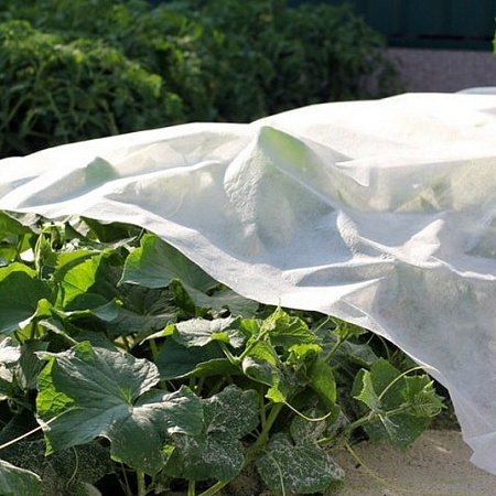 Укрывной материал Белый пл.40г/кв.м, шир.1,6м, в Рулоне 500п.м. "Агроспантекс" *500