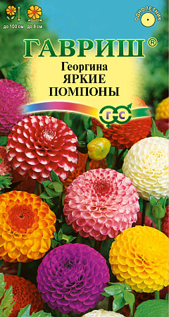 Семена Георгина Яркие помпоны  0,2гр Гавриш *10/200