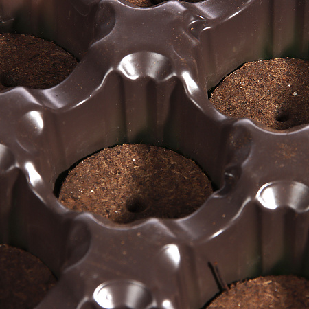 Набор для рассады с 12 торфяными таблетками d41мм (кассета+лоток)  *44