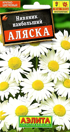 Семена Нивяник Аляска наибольший 0,5гр Аэлита цв *10/200