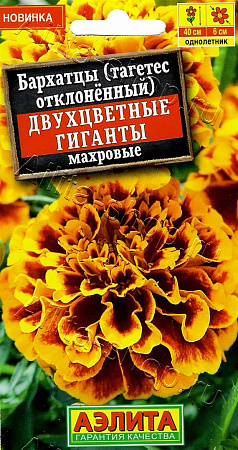 Семена Бархатцы Двухцветные гиганты отклоненные махровые 0,1гр Аэлита цв *10/200