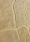 Панель стеновая МДФ "Камень Капри" СД (1,22*2,44 м*6мм)  *1