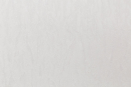 Обои флиз "HomeColor"   PROTECT-CASA фон (беж.) HC31236-21a 1,06*10м *1/8
