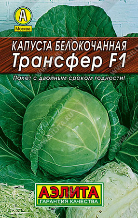 Семена Капуста б/к Трансфер F1  0,1-0,5гр Аэлита АА *10/200