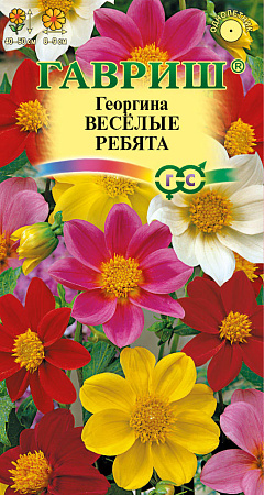 Семена Георгина Веселые ребята  0,3гр Гавриш *10/200