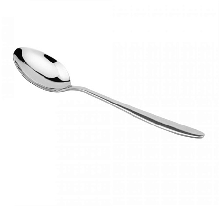 Ложка столовая нерж. "Софи" КТ-050-ЛС-1  "Катунь"  *20