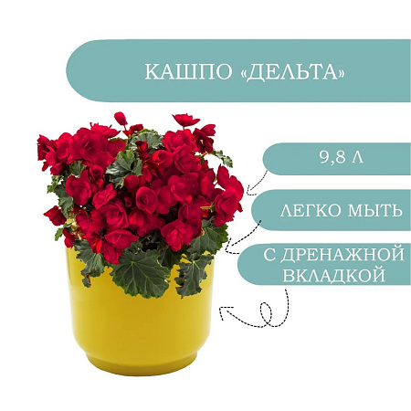 Кашпо пластм. "Дельта" 9,8л d верха 250мм h220мм со вставкой 8л Медовый Д25-34 *1