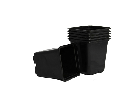 Набор горшков для рассады пластм. (0,5л *6шт) квадратный черный А5532чр (Ангора)  *1/166
