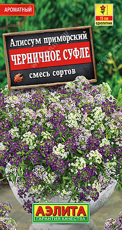 Семена Алиссум Черничное суфле смесь  0,1гр Аэлита цв *10/200