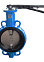 Затвор чугунный с чугунным диском и уплотнением Ø 65 EPDM PN 16 ручной Seagull *1