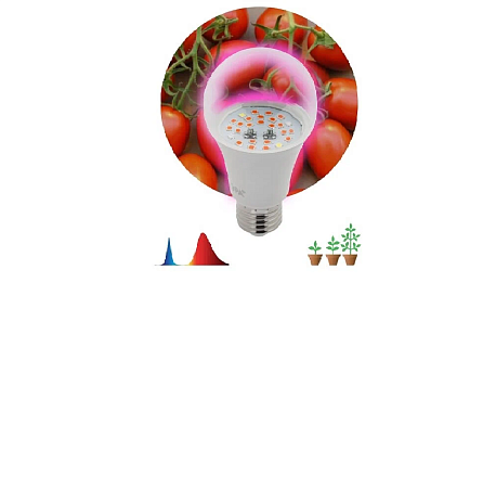 Лампа светодиодная ФИТО 10W Е27 груша Эра FITO-10W-RB-E27-K *1/12/36