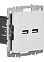 Механизм розетки "BRITE" 2-мест. USB A+A 5В/3.1А белый IEK BR-U21-D31-K01   *1/8/80