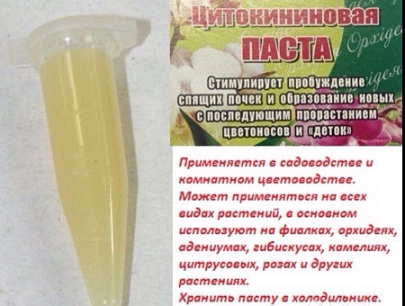 Стимулятор роста орхидей и комнатных растений Цитокининовая паста Чудо-Паста 1,5мл *5/25