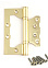 Петля без врезки 100*75*2,5мм ЗОЛОТО матовое GM AVERS *1/20/100