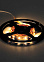 Лента светодиодная 3м 3,0К 4,8Вт/м IP20 SMD2835 блок/пит выкл SQ0331-0221 TDM *1/30