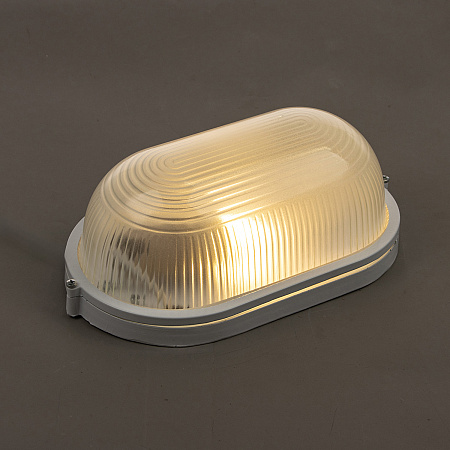 Светильник накладной 100Вт овал белый НПБ1201 TDM SQ0303-0028 *1/8