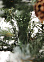 Елка  искусственная "Кармэн" 1,8м *1/12