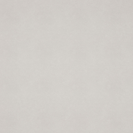 Обои  флиз "Антураж" Puff фон AN8890-06  10*1,06м *6