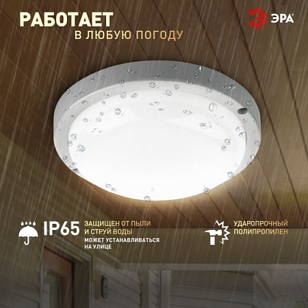 Светильник накладной светодиодный 15Вт 4.0К 1425Лм IP65 круг белый ЖКХ ЭРА Б0047623 *1/40