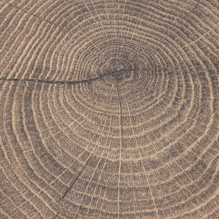 Ламинат ЕВРОХОУМ  АРТ Дуб Мерида фаска U609 4V 33 кл (1285х192х12мм) в уп.1,480кв.м *1уп=6шт*52уп