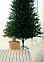 Елка  искусственная пластиковая "Пермская" 2,1м литая *1/20