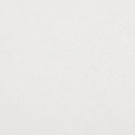 Обои флиз белый "Палитра" 3009-01  1,06*10м *1/6