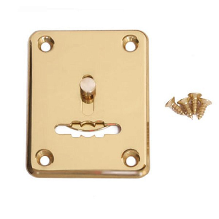 Накладка сувальдная декоративная DP-S-01-G золото со шторкой (1 штука) Апекс *1/20