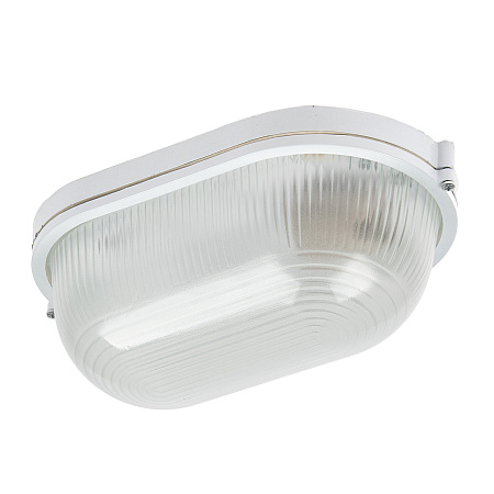 Светильник накладной 100Вт овал белый НПБ1201 TDM SQ0303-0028 *1/8